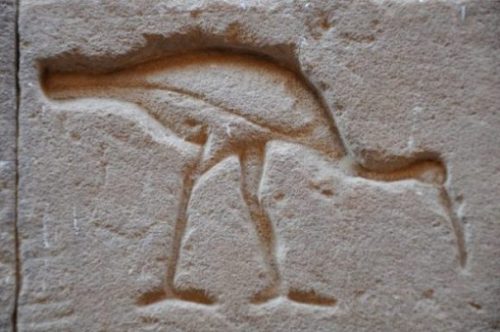Ancient Egyptian Stone Carving Of An Ibis.