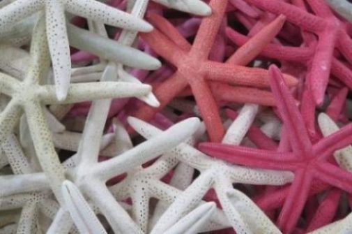 Image Of A Pile Of White And Red Starfish.